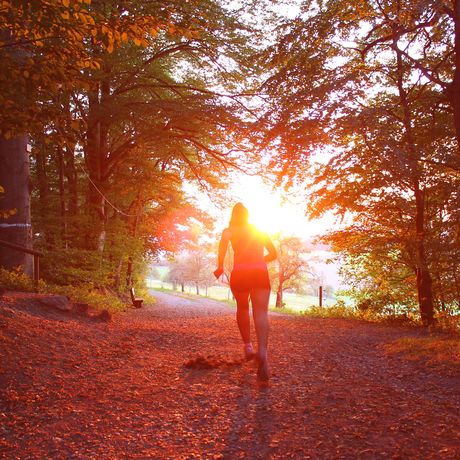 Waarom je moet sporten in de herfst