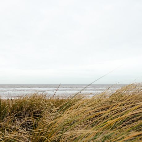 Dit is waarom wandelen goed voor je is