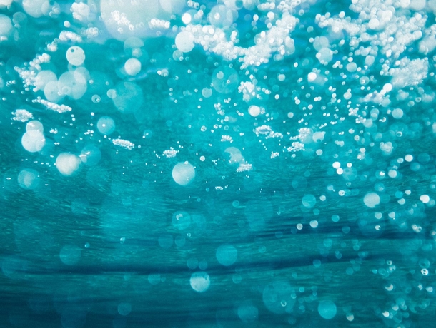 Summer Swim