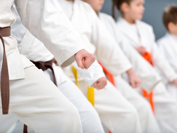Karate les